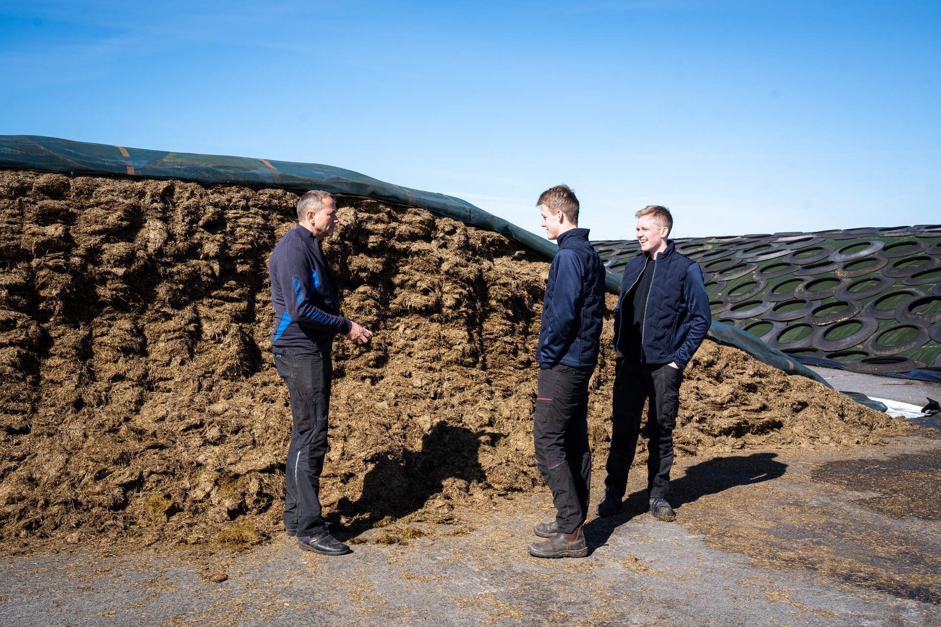 Tre landmænd står og kigger på græs ensilage